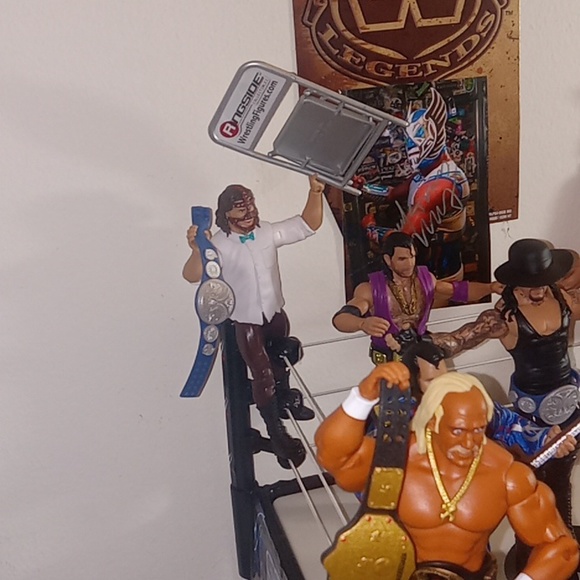 Wrestlers in wrestling ring - Picture 4 of 7